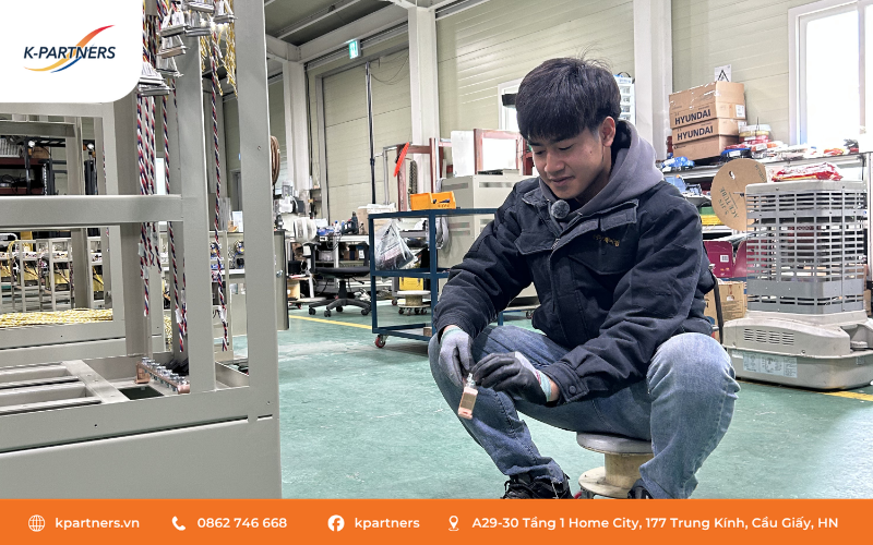 XKLĐ Hàn Quốc hiện tại vẫn duy trì sức hút ổn định